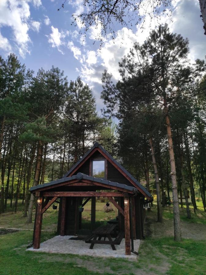 Vila Dom Nad Stawem Krawno Piecki  Exteriér fotografie